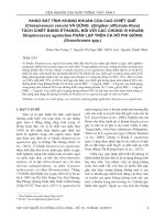 Khảo sát tính kháng khuẩn của cao chiết quế (Cinnamomum verum) và gừng (Zingiber officinale rose) tách chiết bằng ethanol đối với các chủng vi khuẩn Streptococcus agalactiae phân