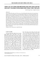 Sàng lọc các dòng nấm men mang gen VP28 thích hợp để sản xuất tolerine phòng bệnh đốm trắng trên tôm nuôi