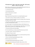 Đề kiểm tra giữa học kì 2 môn Lịch sử lớp 11 năm học 2018-2019 – Trường THPT Ngô Quyền