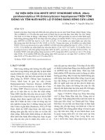 Sự hiện diện của White Spot Syndrome Virus, Vibrio parahaemolyticus và Enterocytozoon hepatopenaei trên tôm giống và tôm nuôi nước lợ ở đồng bằng sông Cửu Long