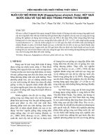 Nuôi cấy mô rong sụn (Kappaphycus alvarezii, Doty): Kết quả bước đầu về tạo mô sẹo trong phòng thí nghiệm