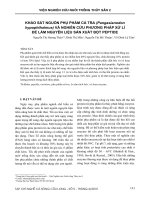 Khảo sát nguồn phụ phẩm cá tra (Pangasianodon hypophthalmus) và nghiên cứu phương pháp xử lí để làm nguyên liệu sản xuất bột pepti
