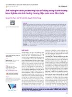 Ảnh hưởng của tình yêu thương hiệu đến lòng trung thành thương hiệu: Nghiên cứu tình huống thương hiệu nước mắm Phú Quốc