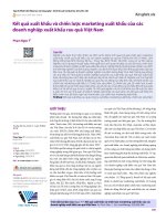 Kết quả xuất khẩu và chiến lược marketing xuất khẩu của các doanh nghiệp xuất khẩu rau quả Việt Nam