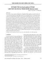 Sử dụng tảo Isochrysis galbana cô đặc làm thức ăn cho ấu trùng nghêu Meretrix lyrata