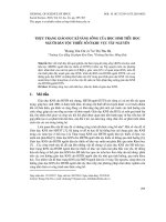 Thực trạng giáo dục kĩ năng sống của học sinh tiểu học người dân tộc thiểu số ở khu vực Tây Nguyên