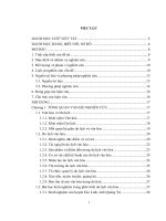 (Luận văn thạc sĩ) nghiên cứu phát triển du lịch văn hóa huyện định hóa, tỉnh thái nguyên 