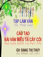 Cấu tạo của bài văn miêu tả cây cối