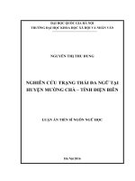 (Luận án tiến sĩ) nghiên cứu trạng thái đa ngữ tại huyện mường chà   tỉnh điện biên 