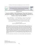 Curcumin ức chế sự tăng sinh, cảm ứng apoptosis và làm giảm sự biểu hiện của aldehyde dehydrogenase ở tế bào ung thư dạ dày MKN45