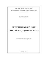 (Luận văn thạc sĩ) di tích khảo cổ học cồn cổ ngựa (thanh hóa) 