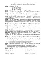 boi duong hoc sinh gioi lop 4 (1) 