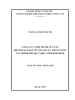 (Luận văn thạc sĩ) năng lực cạnh tranh của các khách sạn 4 sao có vốn đầu tư trong nước tại thành phố quy nhơn, tỉnh bình định 