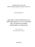 (Luận văn thạc sĩ) nhận diện và tháo gỡ những rào cản trong hoạt động của các sàn giao dịch việc làm thuộc sở lao động thương binh xã hội hà nội 