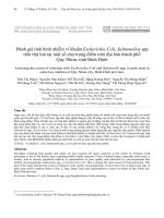 Đánh giá tình hình nhiễm vi khuẩn Escherichia Coli, Salmonellas spp. trên thịt lợn tại một số chợ trọng điểm trên địa bàn thành phố Quy Nhơn, tỉnh Bình Định