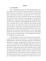 (Luận án tiến sĩ) đảng lãnh đạo xây dựng khối đại đoàn kết dân tộc trong sự nghiệp chống mỹ, cứu nước (1954 1975) 