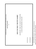 Nguyễn Thị Ngọc Ninh - Báo cáo thực tập tốt nghiệp CHUYÊN ĐỀ: “CÔNG TÁC QUẢN LÝ TÀI NGUYÊN  VÀ BẢO VỆ MÔI TRƯỜNG VÙNG BỜ”