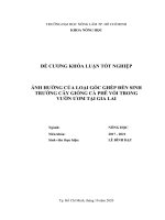 (Khóa luận tốt nghiệp ngành Nông học) Ảnh hưởng của loại gốc ghép đến sinh trưởng cây giống cà phê vối trong vườn ươm tại Gia Lai