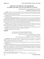 Khảo sát tác động ức chế tyrosinase và chống oxy hóa của các cao chiết từ lá Tía tô