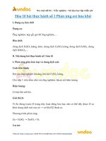 Hóa học lớp 10 - Bài thực hành số 1: Phản ứng oxi hóa khử