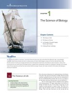 Preview biology by (peter h  raven, george b  johnson), kenneth a  mason, jonathan b  loson, susan r  singer (2017)