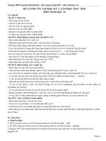 Đề cương ôn thi HK2 Sinh học 10 năm 2019 - 2020 trường Nguyễn Bỉnh Khiêm - Gia Lai - THI247.com