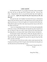 Nghiên cứu trạng thái ứng suất trong hệ bản cọc làm việc đồng thời 