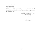 Sử dụng vật liệu thẩm thấu kết tinh gốc xi măng để nâng cao chất lượng bê tông cống vùng triều 