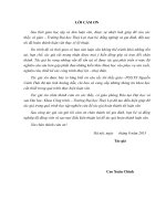 Ổn định đập đất dưới tác dụng của tải trọng động đất, áp dụng tính toán cho đập bản mồng 