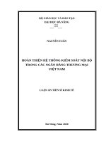 Hoàn thiện hệ thống kiểm soát nội bộ trong các ngân hàng thương mại việt nam 