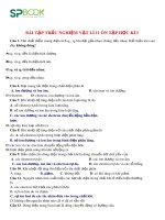 Bài tập trắc nghiệm Vật lí 11 ôn tập học kì 1