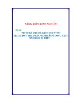 Thiết kế chủ đề giáo dục STEM trong dạy học phần “sinh sản ở động vật”, sinh học 11 THPT 