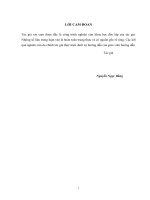 Đề xuất các giải pháp tăng cường công tác quản lý chi phí các dự án tu bổ, duy tu bảo dưỡng đê điều tỉnh bắc ninh 