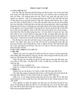 đề tài “tiếp cận bài toán đồ thị hỗn hợp kết tủa nhôm hidroxit và bari sunfat”  