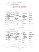 Bộ câu hỏi ôn thi viên chức  tiếng anh 