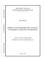Nghiên cứu đặc tính khí động học và giảm lực cản khí động học tác động nên cano chở khách