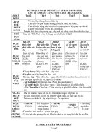 TUẦN 12. CÂY XANH VÀ MÔI TRƯỜNG SỐNG.DOC