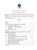 (Tiểu luận môn học) - Quản trị nguồn nhân lực