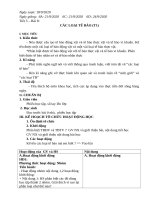 Bài 8  các loại tế bào (2t) 