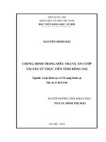 Chứng minh trong giai đoạn điều tra vụ án cướp tài sản từ thực tiễn tỉnh đồng nai 