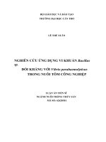 Nghiên cứu ứng dụng vi khuẩn bacillus sp  đối kháng với vibrio parahaemolyticus trong nuôi tôm công nghiệp 