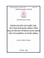 luận án tiến sĩ đánh giá kết quả điều trị nút mạch dị dạng động tĩnh mạch não đã vỡ bằng dung dịch kết tủa không ái nước (PHIL) 