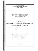 Thiết kế và chế tạo hệ thống gói bánh chưng tự động  