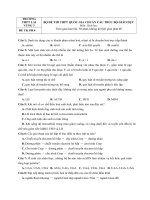 Đề tham khảo thi THPT 2018 - 4