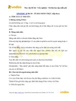 Lý thuyết Sinh học 10 - Bài 10: Tế bào nhân thực