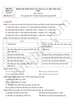 ĐỀ THAM KHẢO THI THPT QUỐC GIA 2018 - 11