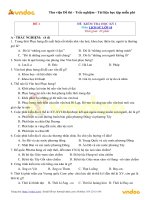 Tổng hợp 10 đề kiểm tra học kì 1 môn Lịch sử lớp 10