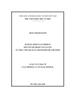 Áp dụng pháp luật hình sự đối với tội trộm cắp tài sản từ thực tiễn quận 10, thành phố hồ chí minh
