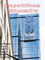 Chiến lược giá của unilever về sản phẩn lifebuoy vào thị thường việt nam (2)