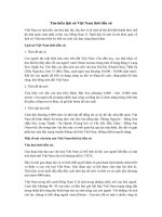 Tải Lịch sử Việt Nam thời tiền sử - Tìm hiểu về lịch sử và văn hóa Việt nam thời tiền sử